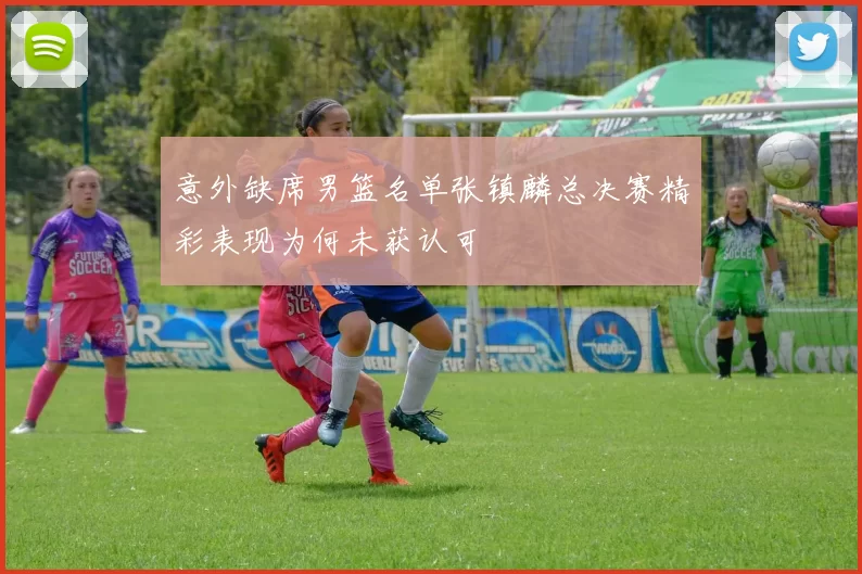 意外缺席男篮名单张镇麟总决赛精彩表现为何未获认可